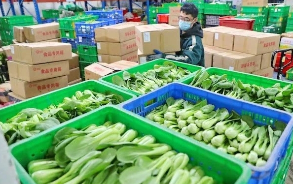 天极汇农产品是做什么的公司